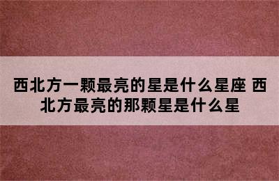 西北方一颗最亮的星是什么星座 西北方最亮的那颗星是什么星